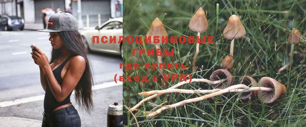 кокаин перу Аркадак